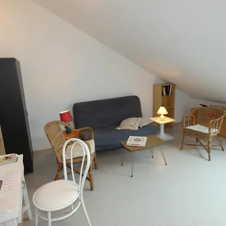 A Avec Balcon Et Animaux Acceptes - Fr-1-540-325 Apartmán *