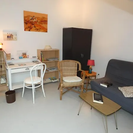 A Avec Balcon Et Animaux Acceptes - Fr-1-540-325 *
