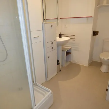 A Avec Balcon Et Animaux Acceptes - Fr-1-540-325