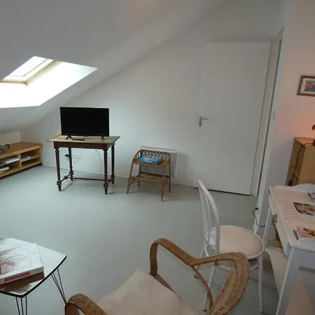 Apartmán A Avec Balcon Et Animaux Acceptes - Fr-1-540-325
